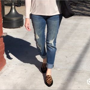 dsw leopard mules